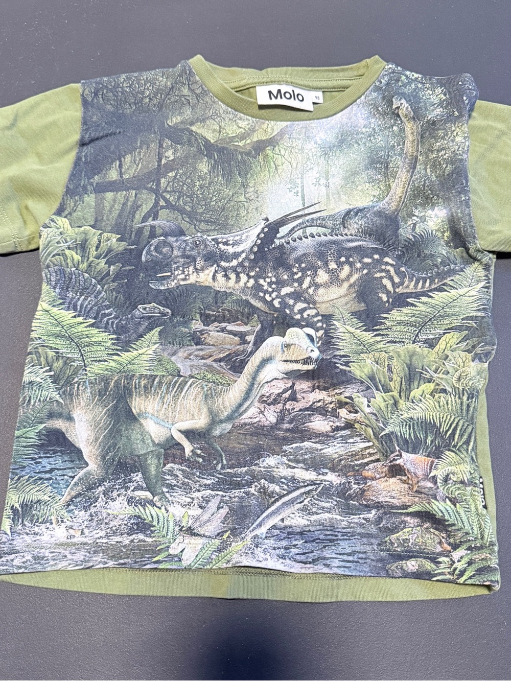 Molo Olive Green Dinosaur Forest Graphic Tee